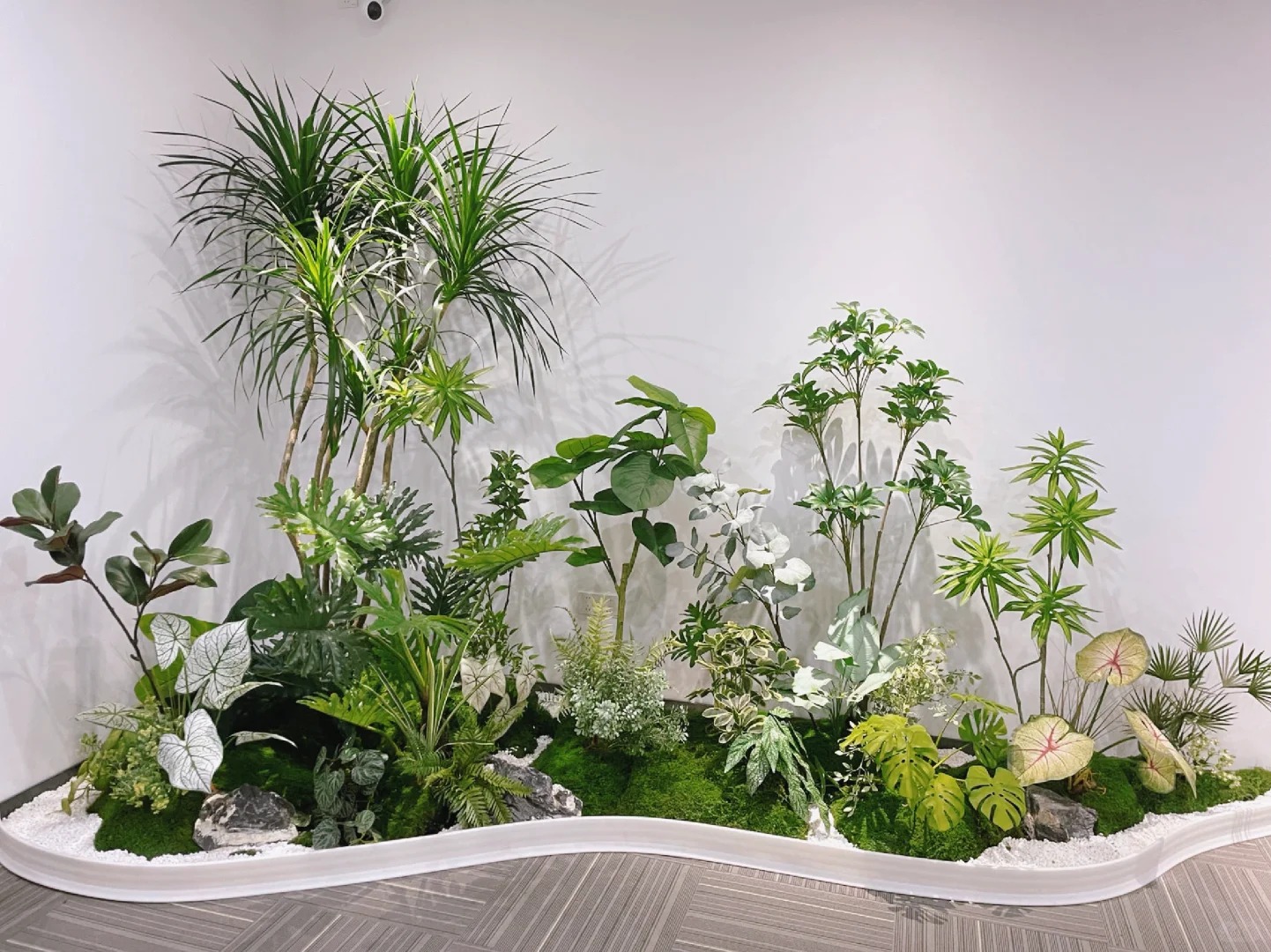 北仑绿植租赁服务商全方位解析，通俗易懂